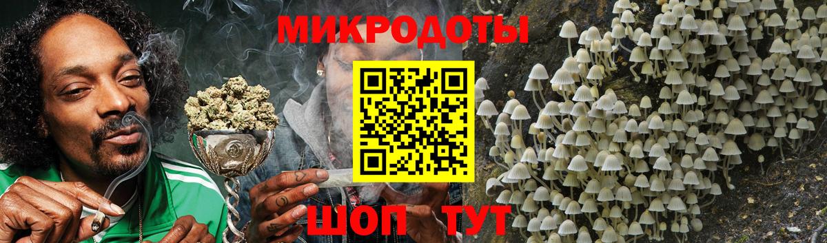 Псилоцибиновые грибы Psilocybine cubensis Бердск