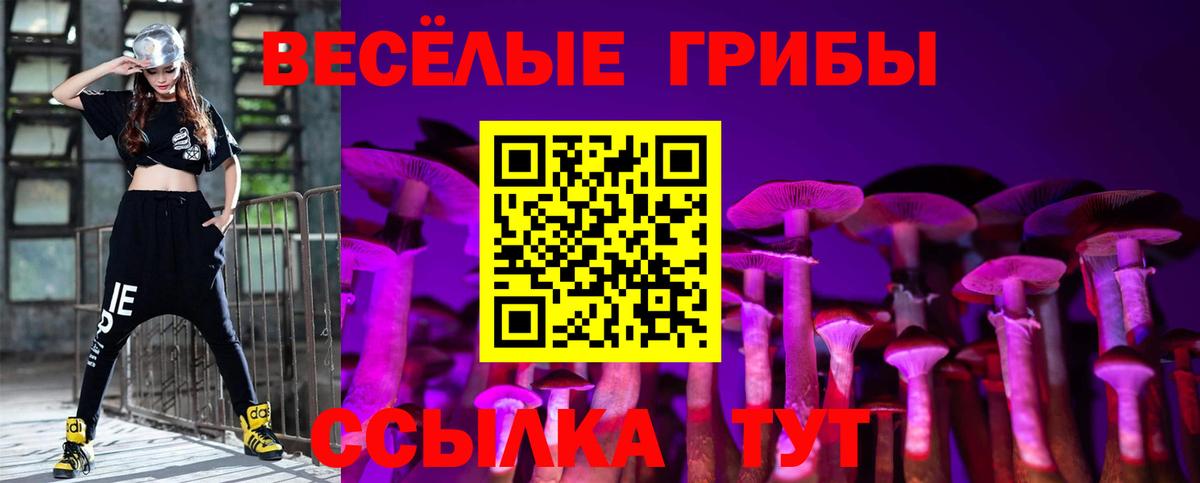 Бердск  Псилоцибиновые грибы прущие грибы  Вход с VPN  Псилоцибиновые грибы GOLDEN TEACHER 